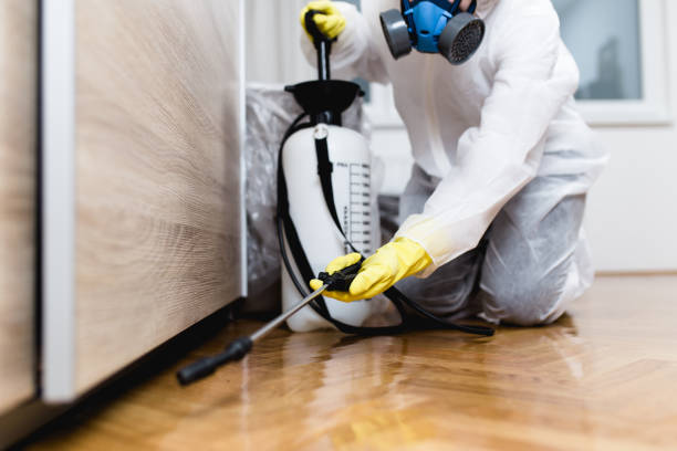 Best Affordable Pest Control Services  in Blauvelt, NY