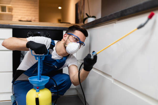 Trusted Blauvelt, NY Pest Control Experts