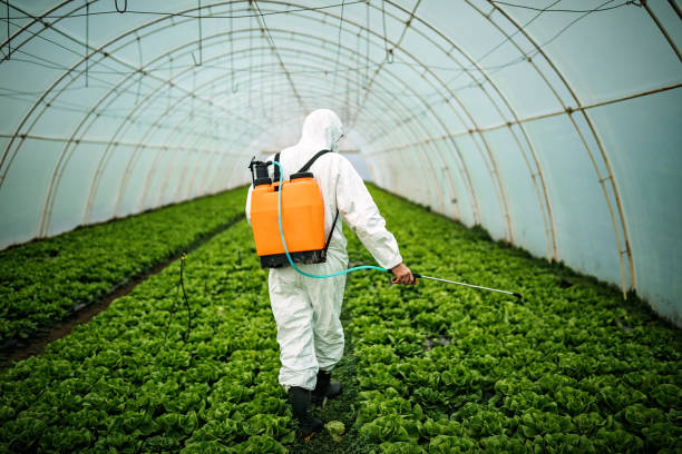 Best Local Pest Control Services  in Blauvelt, NY