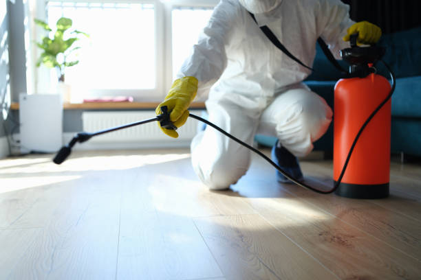 Wildlife Control Services in Blauvelt, NY